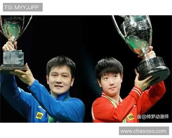 乒乓球精神：杭州乒乓球队拼搏历程的真实记录与感悟