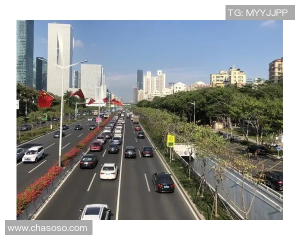 深圳羽毛球队节奏之争引发热议球迷与专家各持己见